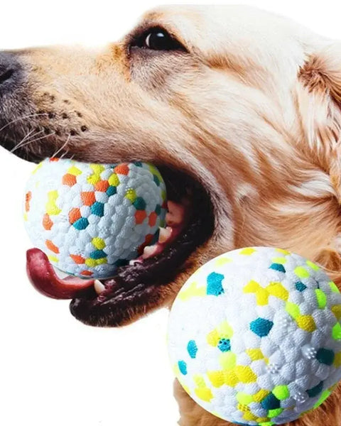 Super strong dog ball